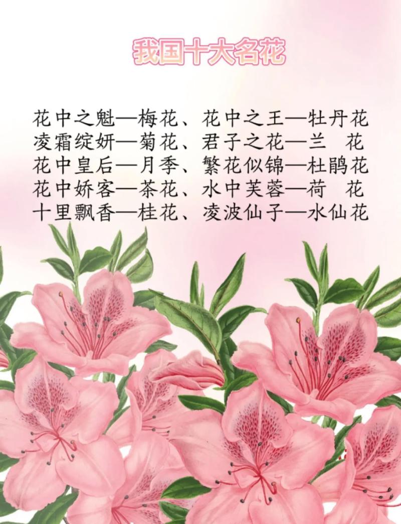 杜鹃花比喻什么，杜鹃花比喻什么样的人