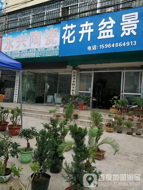 无锡春季观花植物盆栽店，无锡春季观花植物盆栽店地址