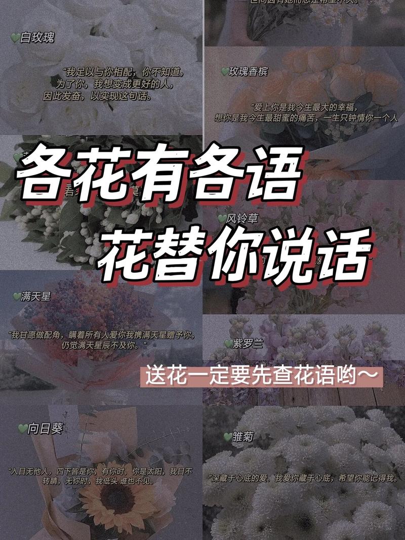 花草怎么说话，花草怎么说话好听