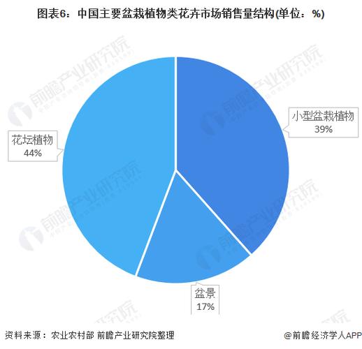 盆栽水培植物行业分析报告，水培植物的市场前景