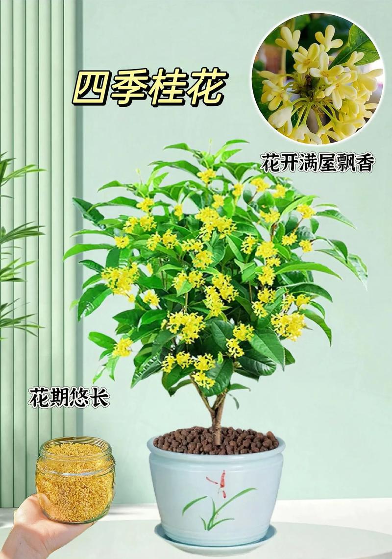 盆栽植物什么季节好养活，盆栽植物什么季节好养活呢