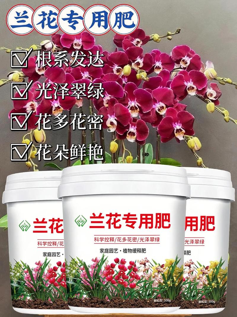 兰花草用什么肥，兰花草用什么肥料